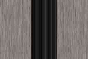 Линолеум Forbo Sarlon Complete Step 632199 linea light grey, nose black фото  | FLOORDEALER